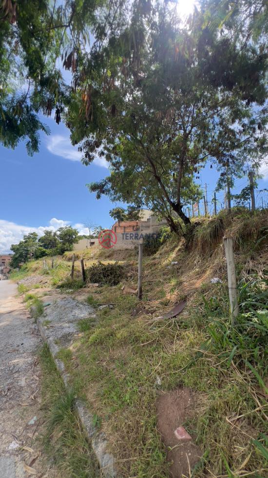 lote-venda-cruzeiro-do-sul-betim-1083535